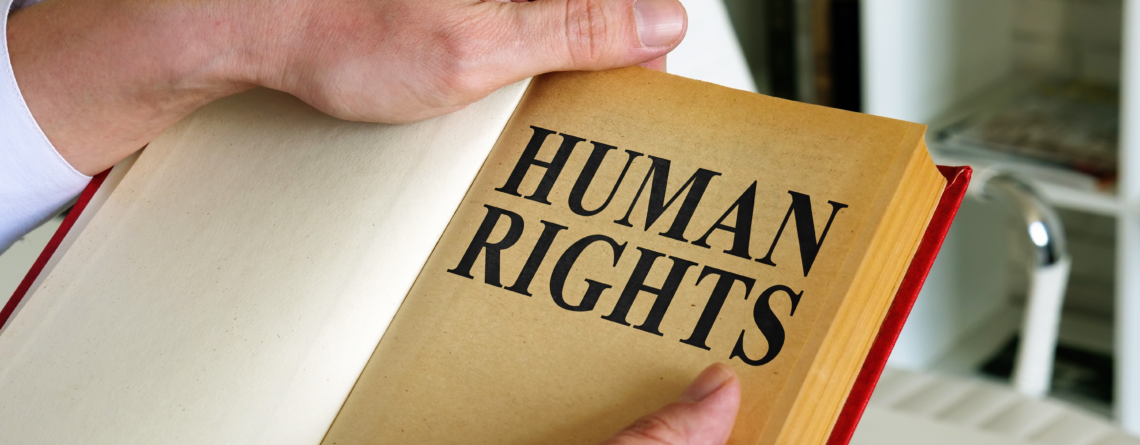 What are the ontario basic human rights