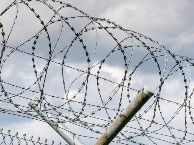 criminal conviction