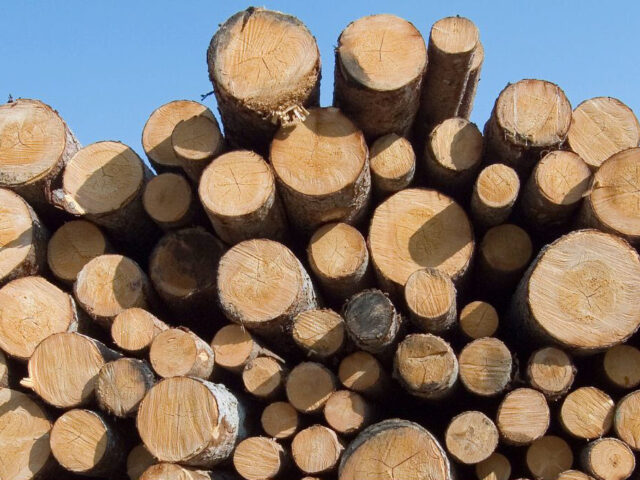Termination Justified When Downplaying a Safety Violation